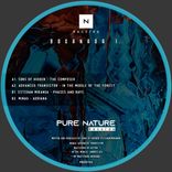 In The Middle Of The Forest