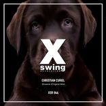 Artwork for "Brownie"