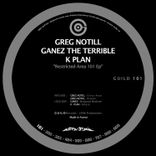 Portada para "Guild 101"