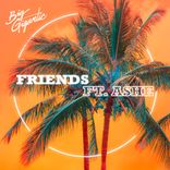 Artwork voor "Friends"