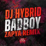 Portada para "Badboy (Zapya Remix)"
