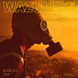 Artwork voor "Toxic"