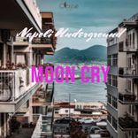 Artwork voor "Moon Cry"