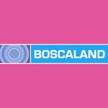 Artwork for "Roland Goes Mad In Boscaland"