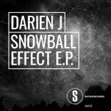 Portada para "Snowball Effect"