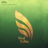 Portada para "After The Storm"