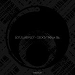 Portada para "Groovy Indian 666"