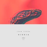Artwork voor "Hidria"