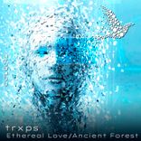 Artwork for "Ethereal Love"