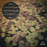 Artwork für "A Place Of Magic: The Fairy Pools"