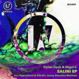 Artwork for "Salini"