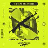 Artwork for "So Damn Good"