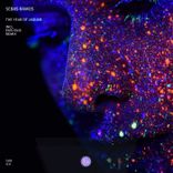 Portada para "The Year of Jaguar"