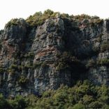 Portada para "Wood Spirit"