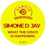 Artwork für "What The Disco Is Happening"