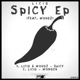 Artwork for "Spicy"