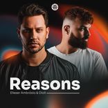 Reasons
