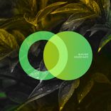 Portada para "Golden Gate"