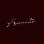 Portada para "Amante"