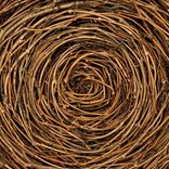 Swing King Was My Only Hero