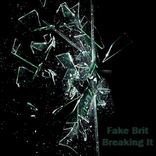 Artwork voor "Breaking It 2009"