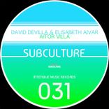 Artwork voor "Subculture"