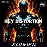 Artwork voor "Hey Distortion"