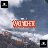 Artwork for "Wonder"