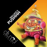 Artwork for "Pushhh"