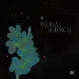 Artwork for "Floral Springs"
