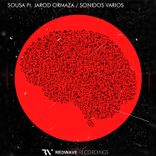 Artwork for "Sonidos Varios"