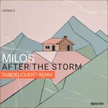 Portada para "After The Storm"