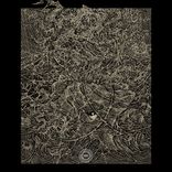 Portada para "Cold Front"