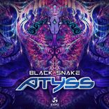 Artwork for "Black Snake"