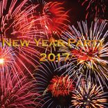 Artwork voor "New Year Party 2017"