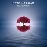 Artwork voor "Flying in a Dream"