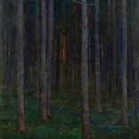 Portada para "Zauberwald"