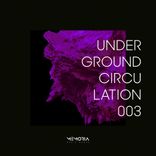 Artwork for "Underground Circulation 003"