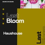 Portada para "Last Bloom"