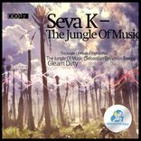 Portada para "The Jungle Of Music"