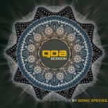 Artwork voor "Goa Session"