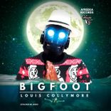 Artwork voor "Big Foot"