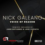 Artwork for "Voice Of Reason"