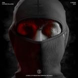 Artwork voor "SYSTEM COLLAPSE"