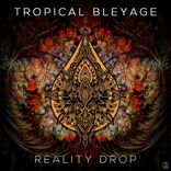 Artwork voor "Reality Drop"