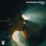 Artwork for "Electronic Room II"
