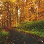 Artwork voor "Beautiful Day (Radio Edit)"