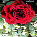 Portada para "So Sexy"