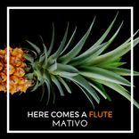 Artwork for "Here Comes A Flute (Radio Edit)"