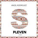 Artwork for "Pleven"